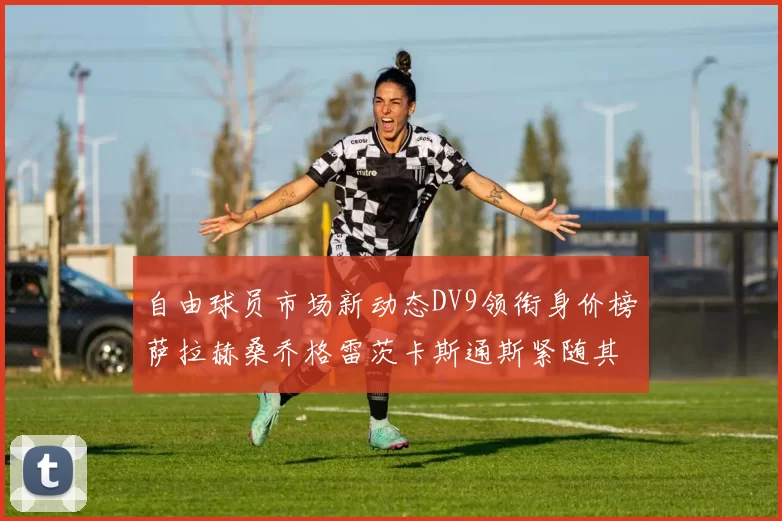 自由球员市场新动态DV9领衔身价榜萨拉赫桑乔格雷茨卡斯通斯紧随其后