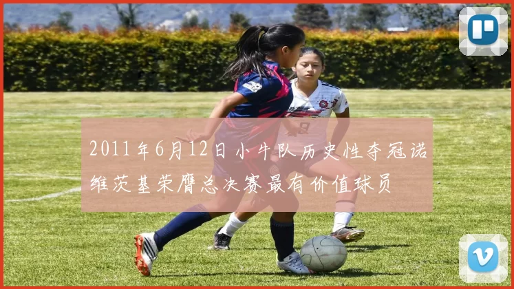 2011年6月12日小牛队历史性夺冠诺维茨基荣膺总决赛最有价值球员